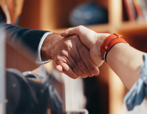 Two professionals shaking hands